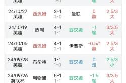 华体会培训-纽卡斯尔主场被流浪者逼平，英超保级形势不容乐观的简单介绍